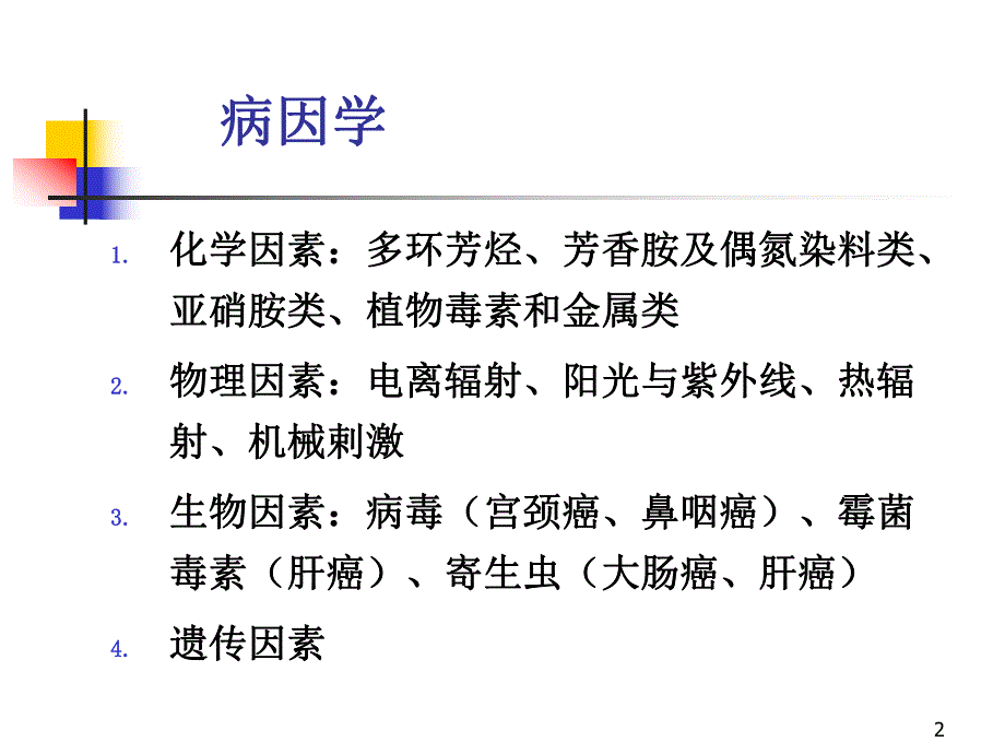 肿瘤学概述2.ppt_第2页