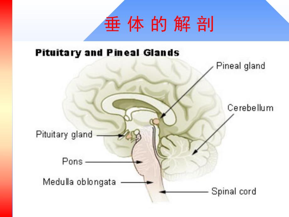 老人日语大全.ppt_第2页