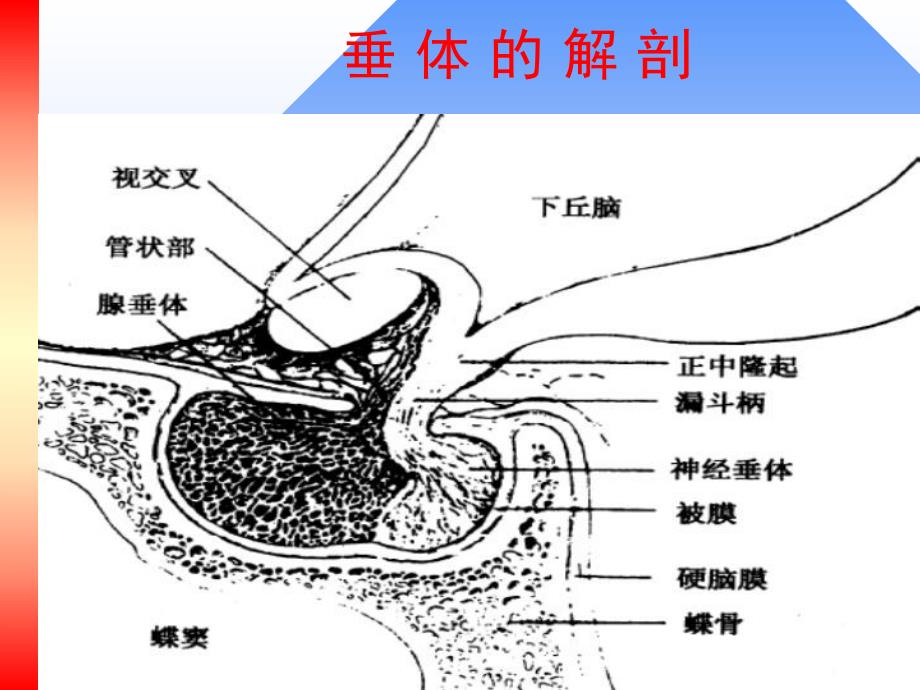 老人日语大全.ppt_第3页