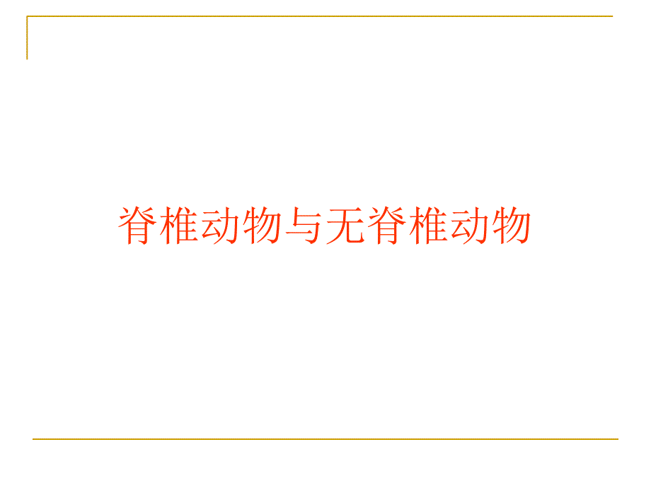 脊椎动物与无脊椎动物.ppt_第1页