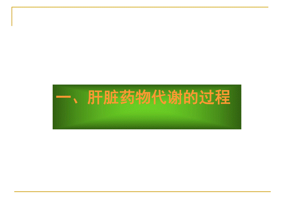 肝脏异常者如何合理用药.ppt_第3页