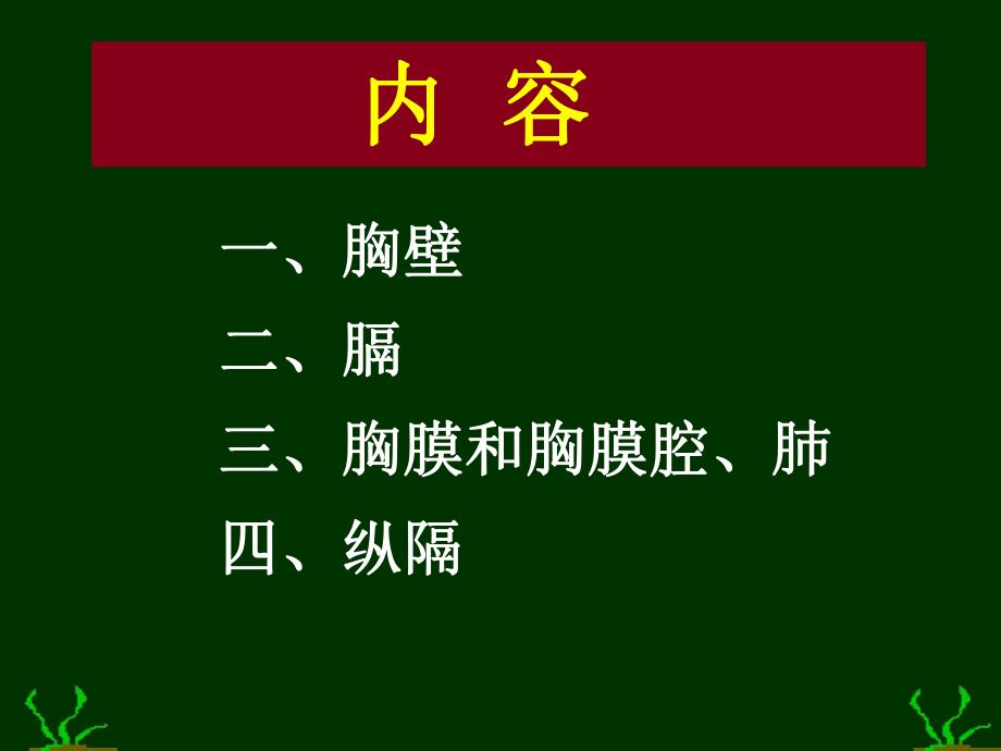 胸部解剖图谱1.ppt_第2页