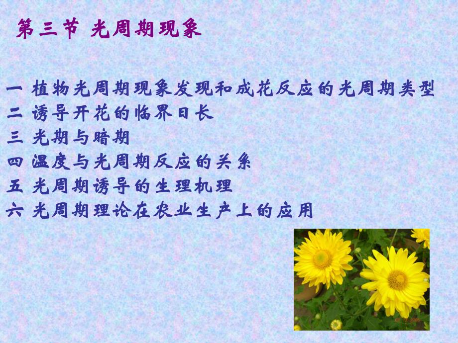 10第十三章——光周期现象.ppt_第2页