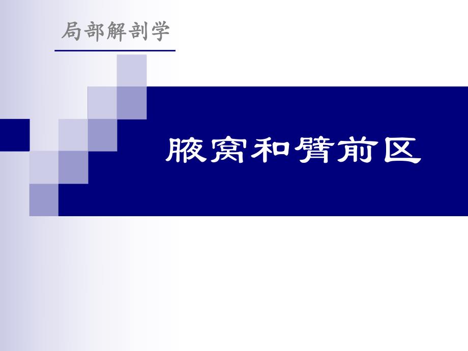 腋窝和臂前区.ppt_第1页