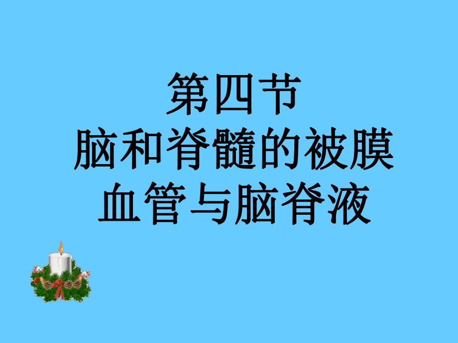 脑脊髓被膜脑脊液脑血管.ppt_第2页