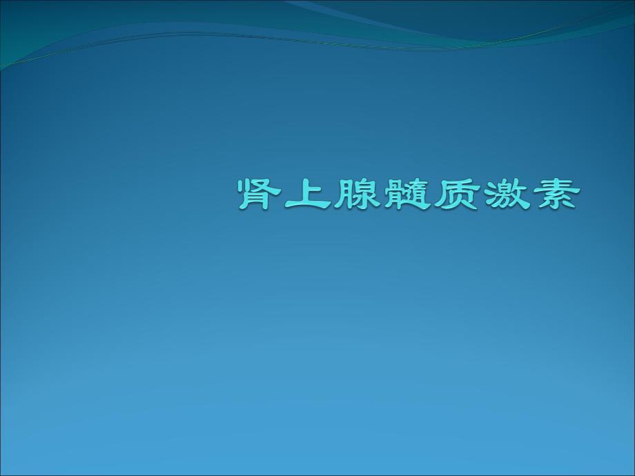 肾上腺髓质激素.ppt_第1页