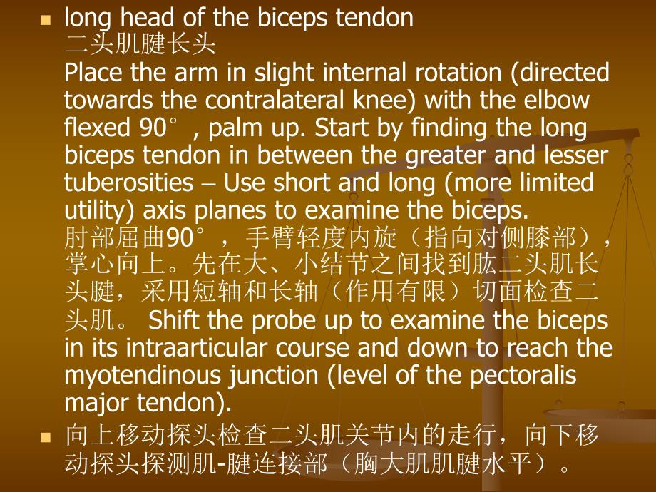 肌骨超声诊断指南肩部.ppt_第3页