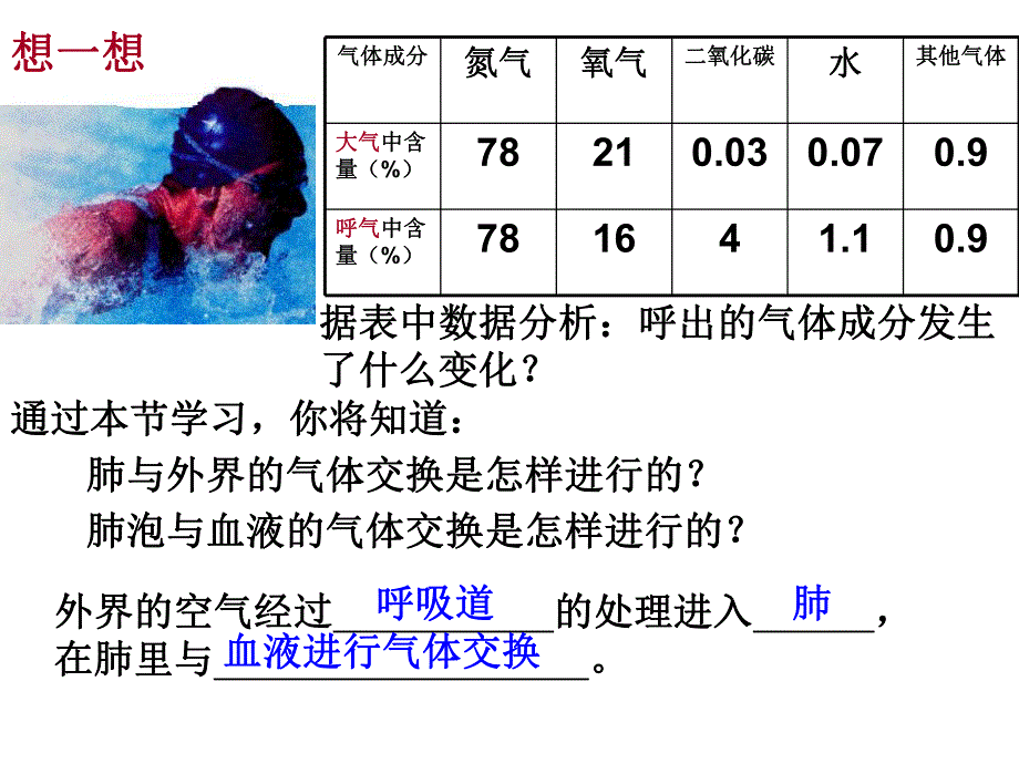 4.32发生在肺内的气体交换.ppt_第2页