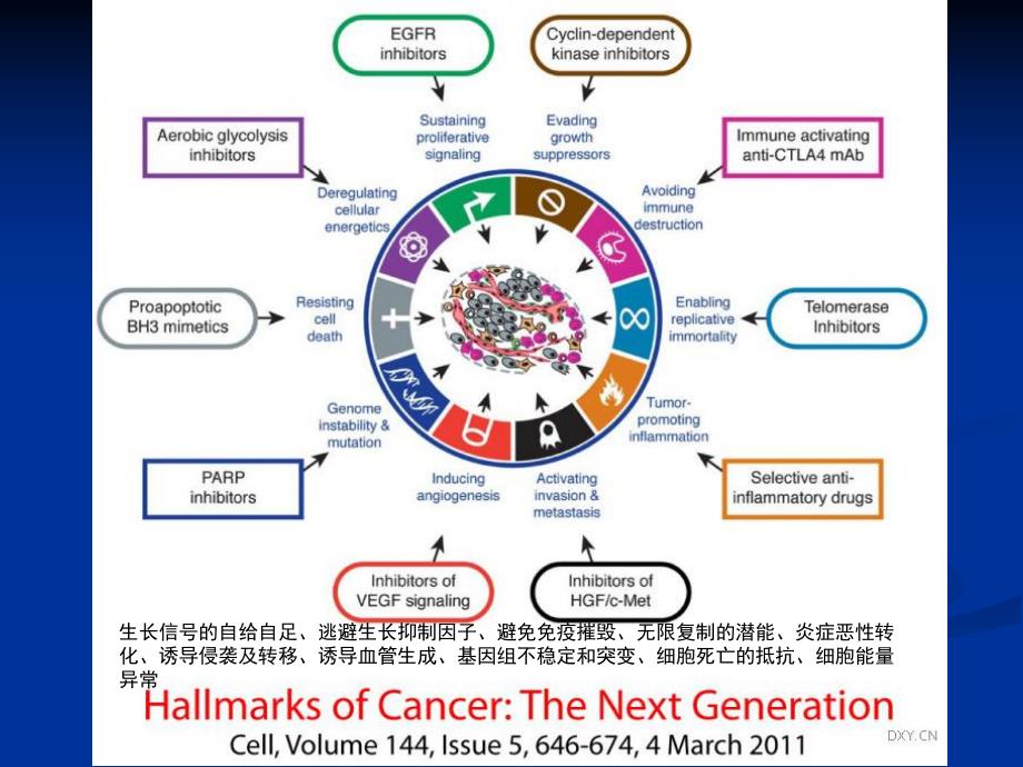 胰腺癌的转化性研究.ppt_第3页