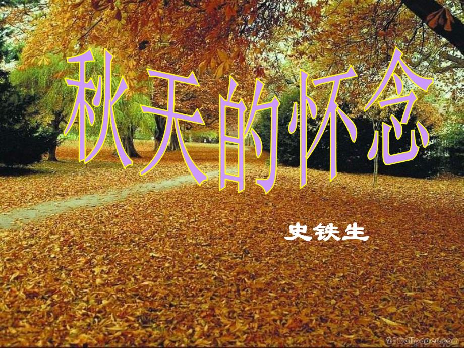 2天的怀念PPT.ppt_第3页