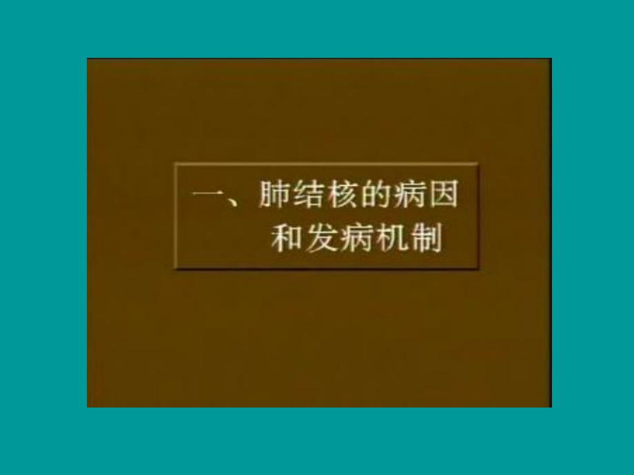 肺结核的诊断和治疗.ppt_第3页