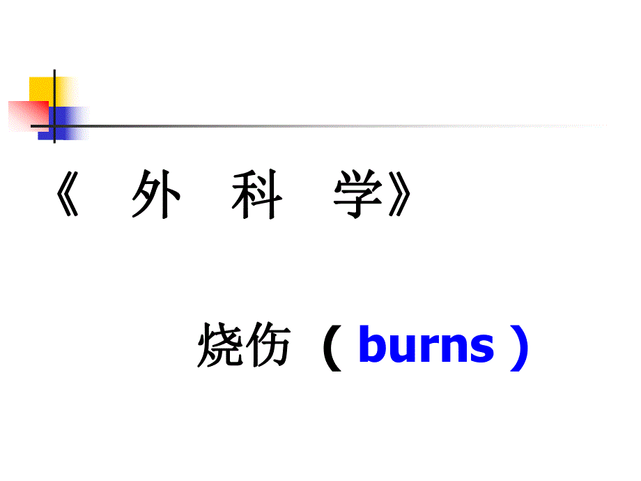 烧伤外科学.ppt_第1页