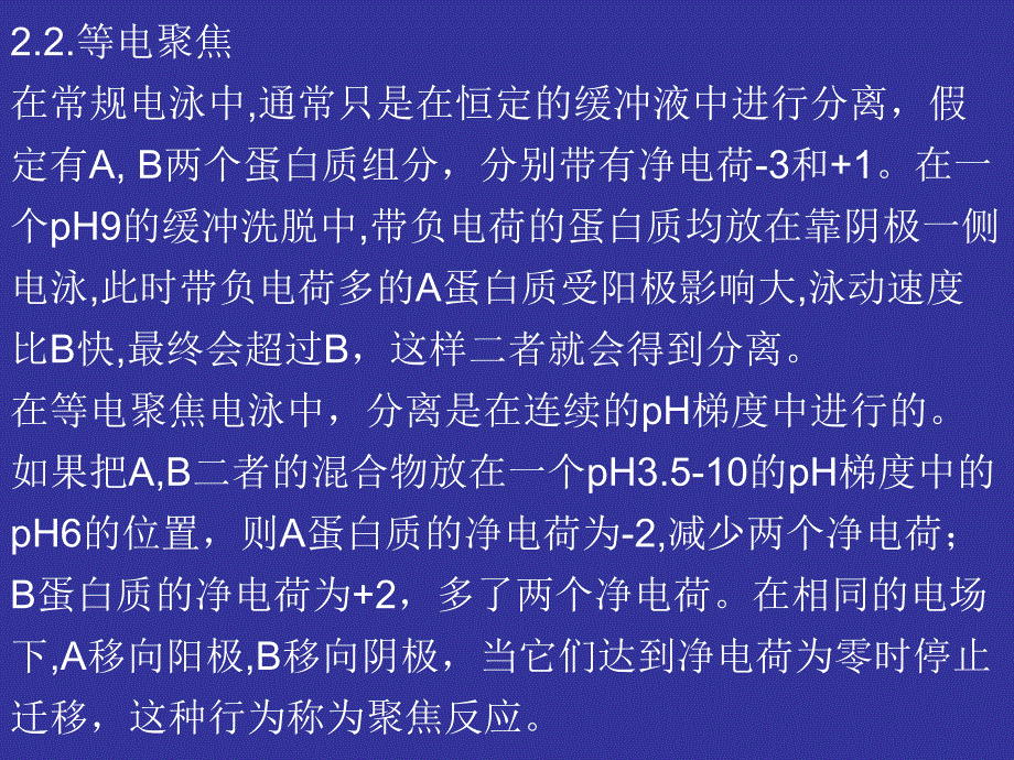 聚丙烯酰胺凝胶等电聚焦电泳.ppt_第3页