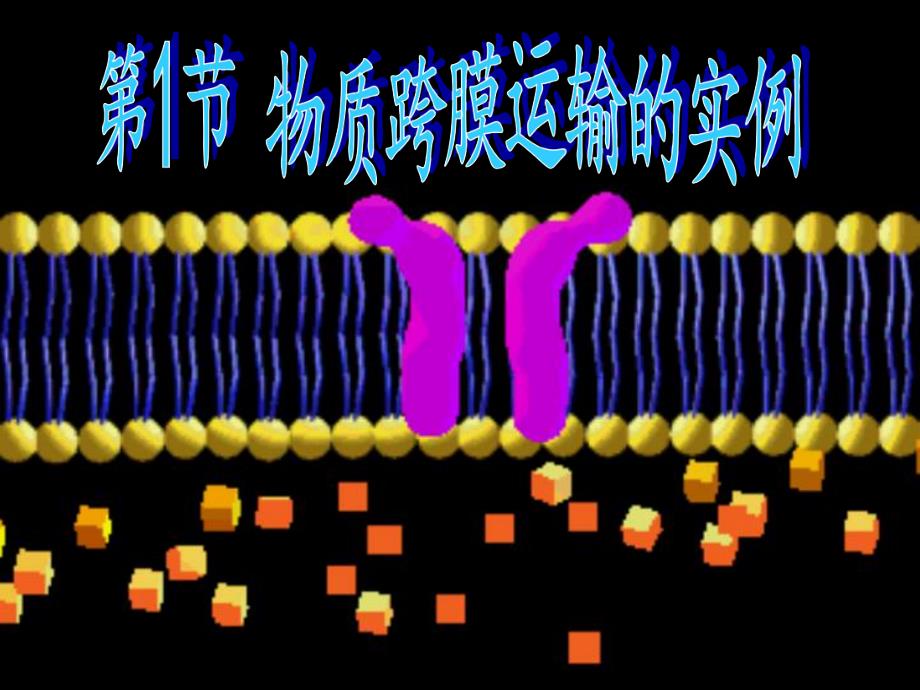 4.1物质跨膜运输的实例.ppt_第3页