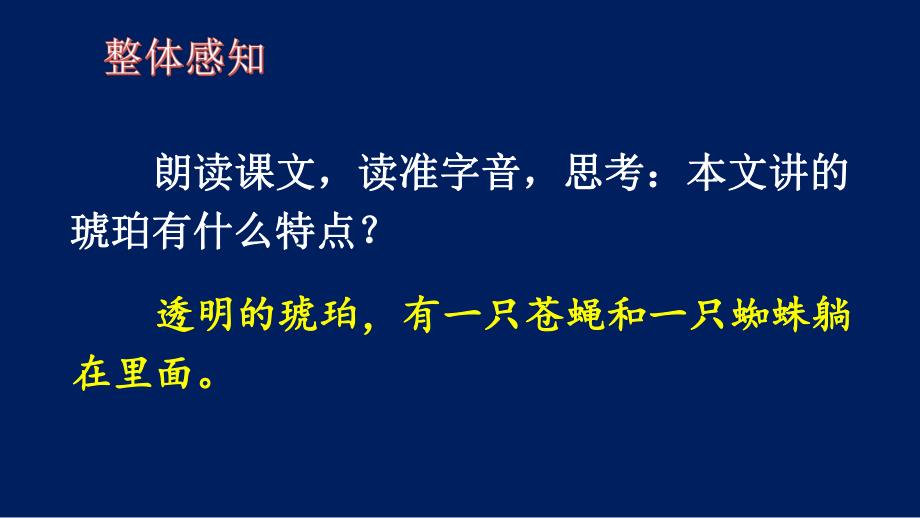 5琥珀课件.ppt_第3页