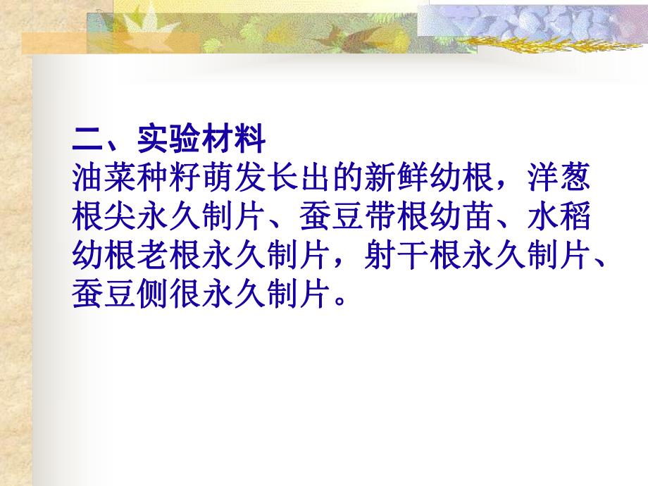 实验五根的结构一.ppt_第2页