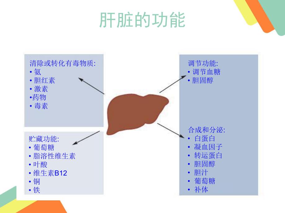 肝病和干扰素相关知识腹水浓缩回输术.ppt_第3页