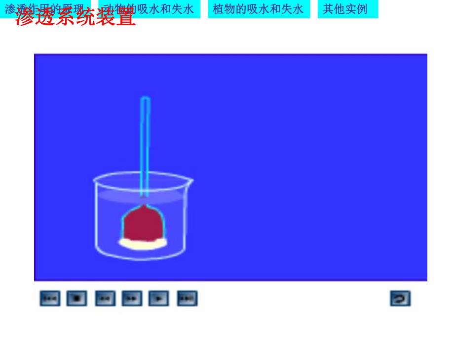 物质跨膜运输的实例优质课凤.ppt_第2页