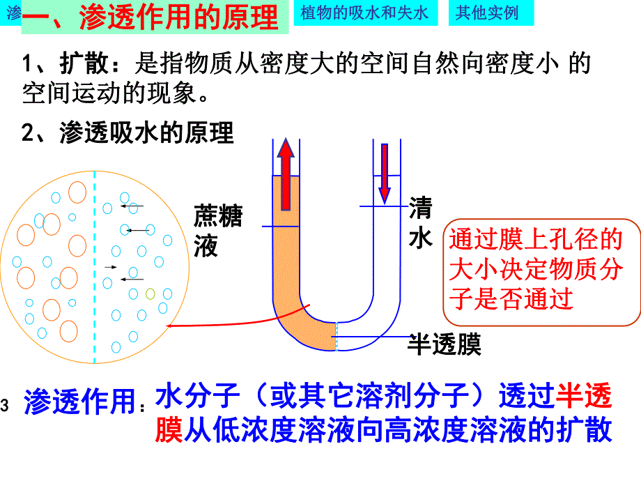 物质跨膜运输的实例优质课凤.ppt_第3页