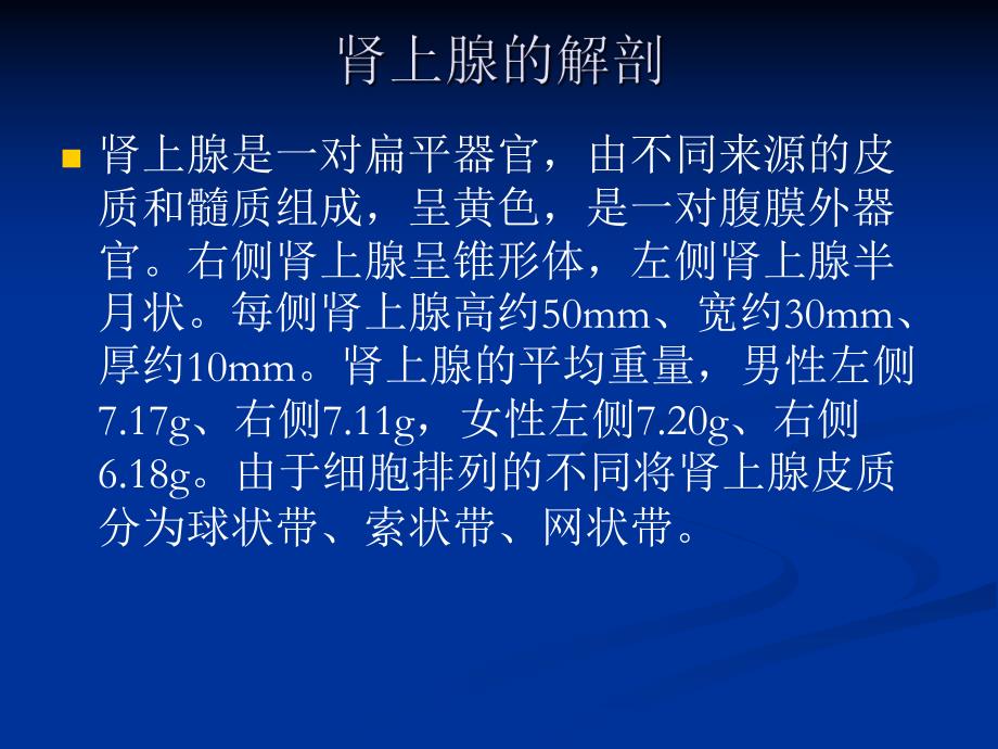 肾上腺的解剖.ppt_第2页