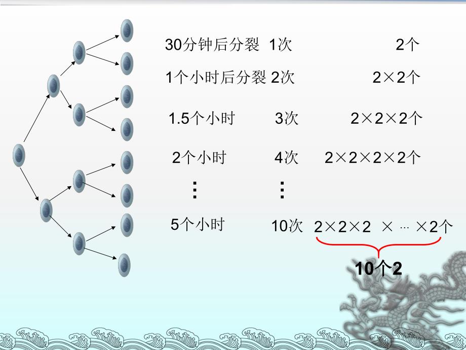 1.5有理数的乘方公开课.ppt_第3页