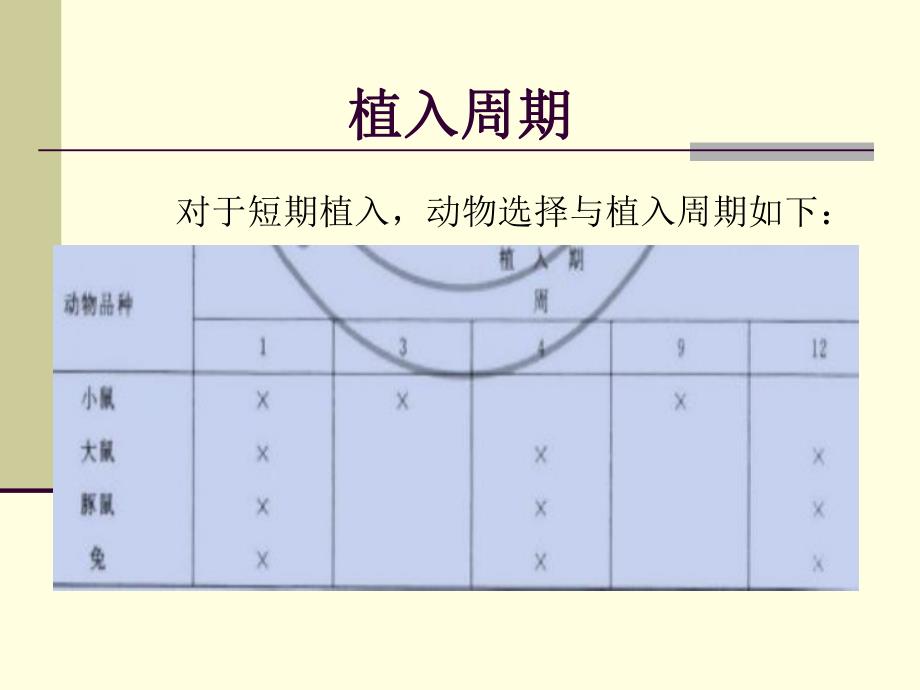 肌肉植入试验.ppt_第3页