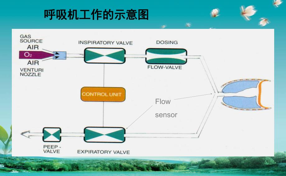 机械通气波形分析.ppt.ppt_第2页