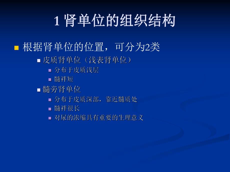 肾的组织结构.ppt_第3页