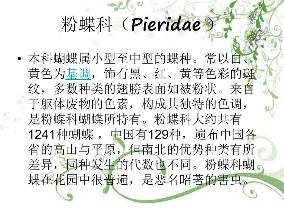 粉蝶科Pieridae.ppt_第1页