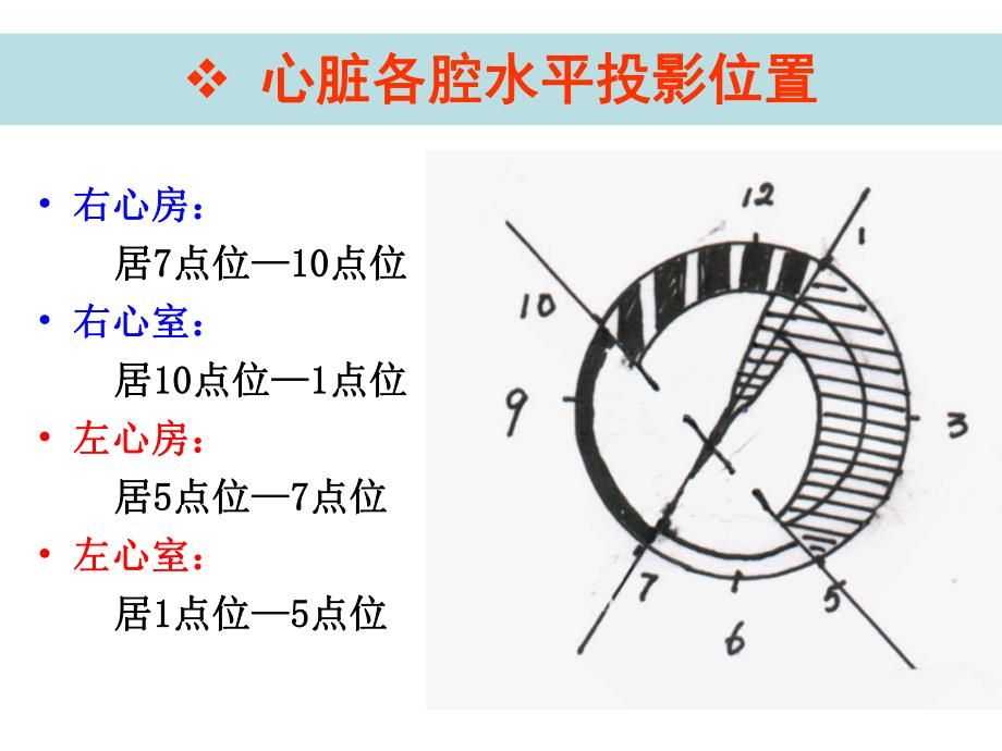 胸部的断面解剖及影像.ppt_第3页