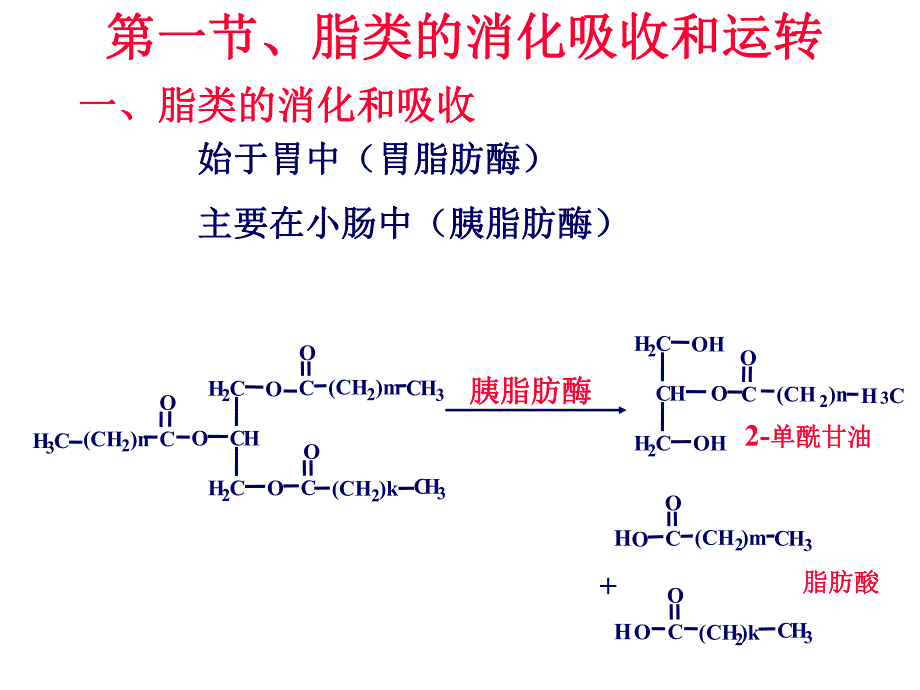 脂肪酸的分解代谢08.ppt_第3页