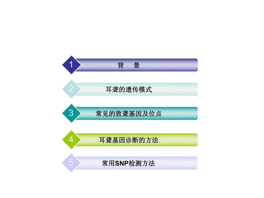 耳聋基因诊断.ppt_第2页