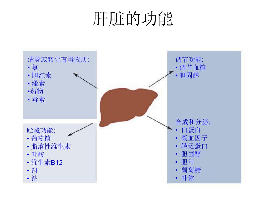 肝病与干扰素张惠琴.ppt_第3页