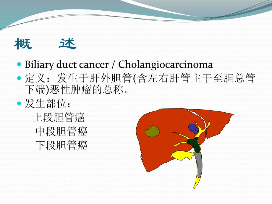 胆管癌外科治疗ppt课件.ppt_第2页