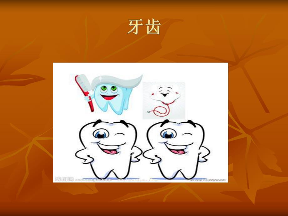 幼儿园大班科学活动认识牙齿.ppt_第2页