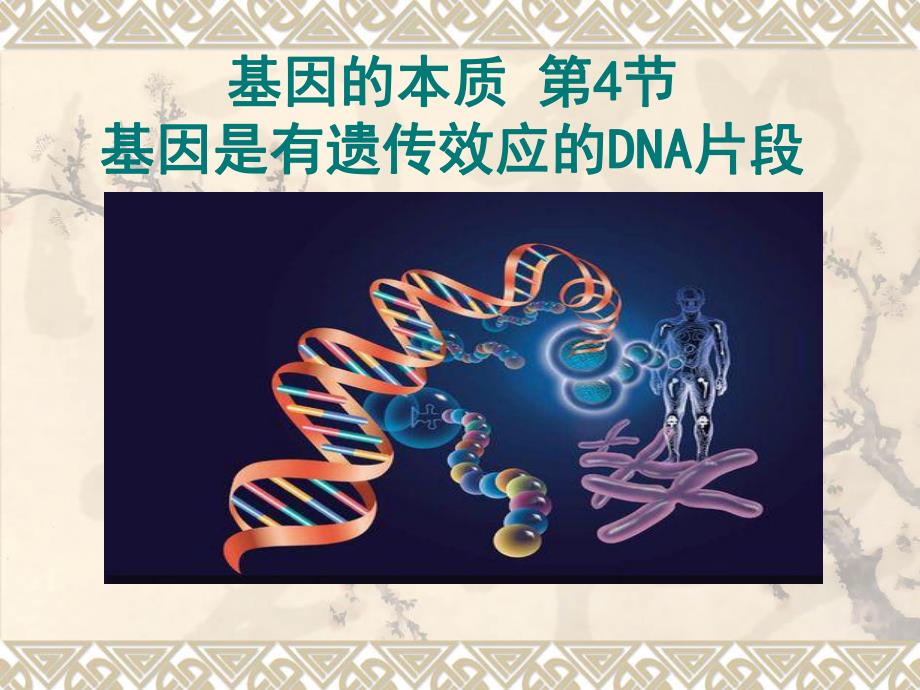 3.4基因是有遗传效应的DNA片段课件高亨波.ppt_第1页