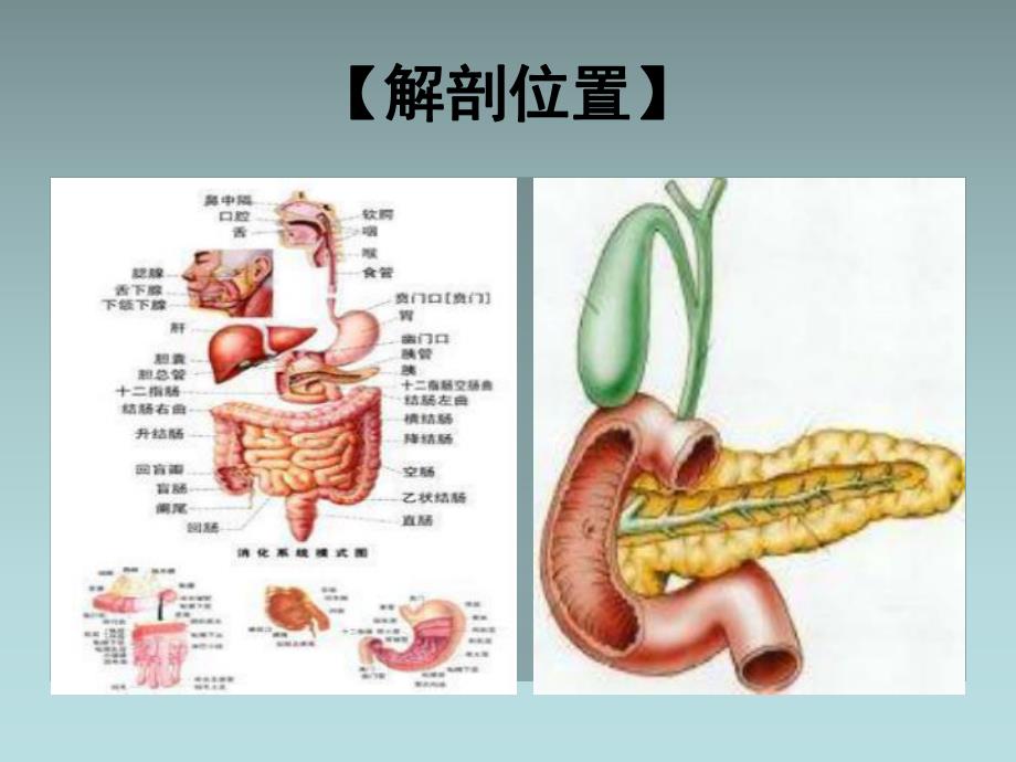 胰腺癌病人的护理.ppt_第3页