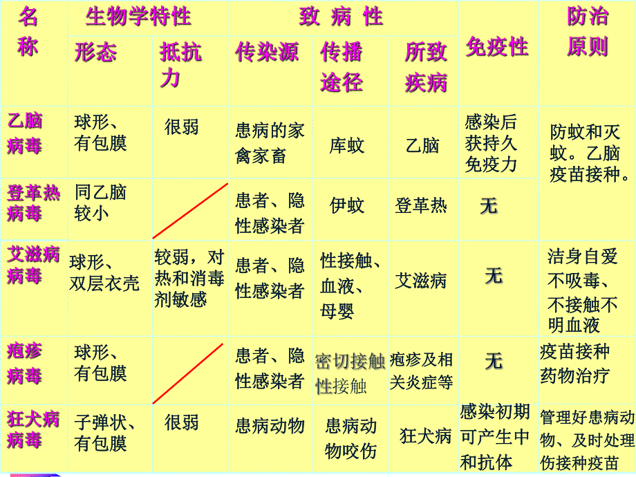 脊髓灰质炎病毒.ppt_第2页