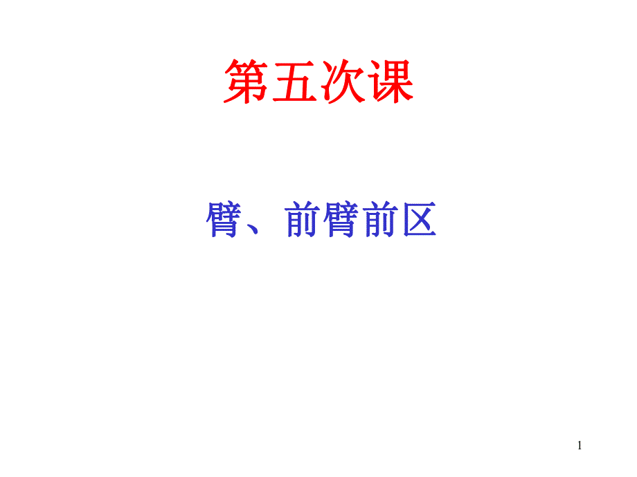 05臂,前臂局解.ppt_第1页