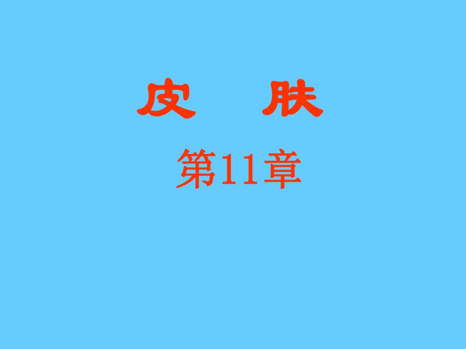 组织胚胎学11皮肤.ppt_第1页