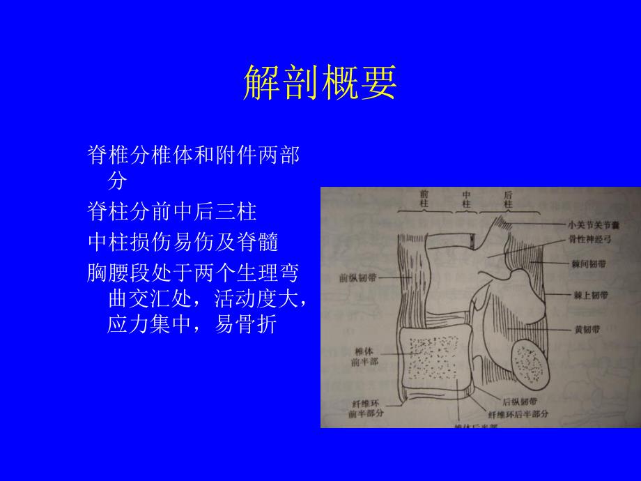 脊柱和骨盆骨折ppt课件.ppt_第2页