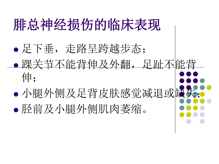 腓总神经损伤的护理.ppt_第2页