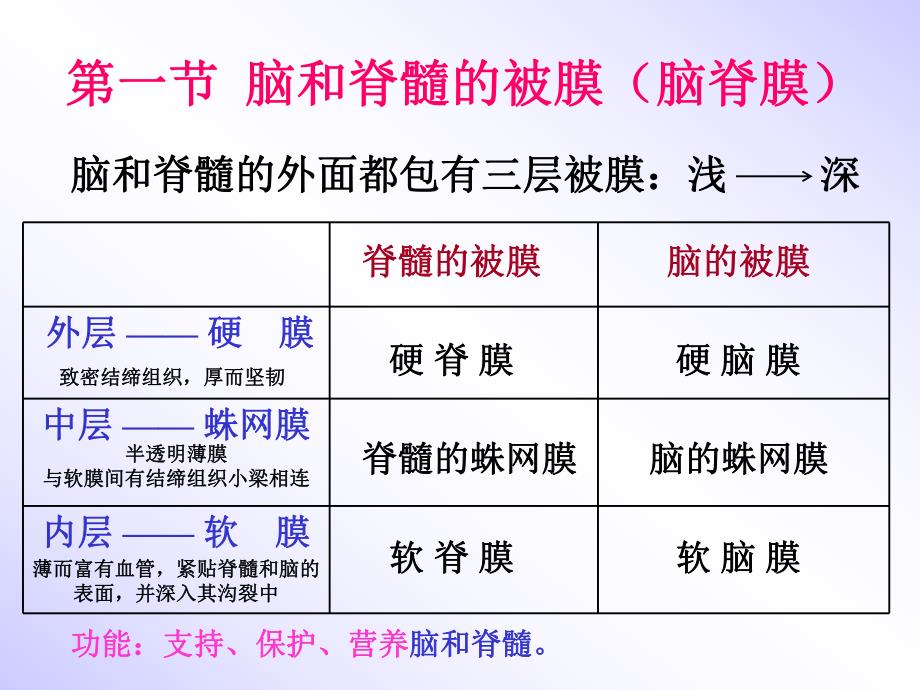 脑脊髓被膜血管ppt课件.ppt_第2页