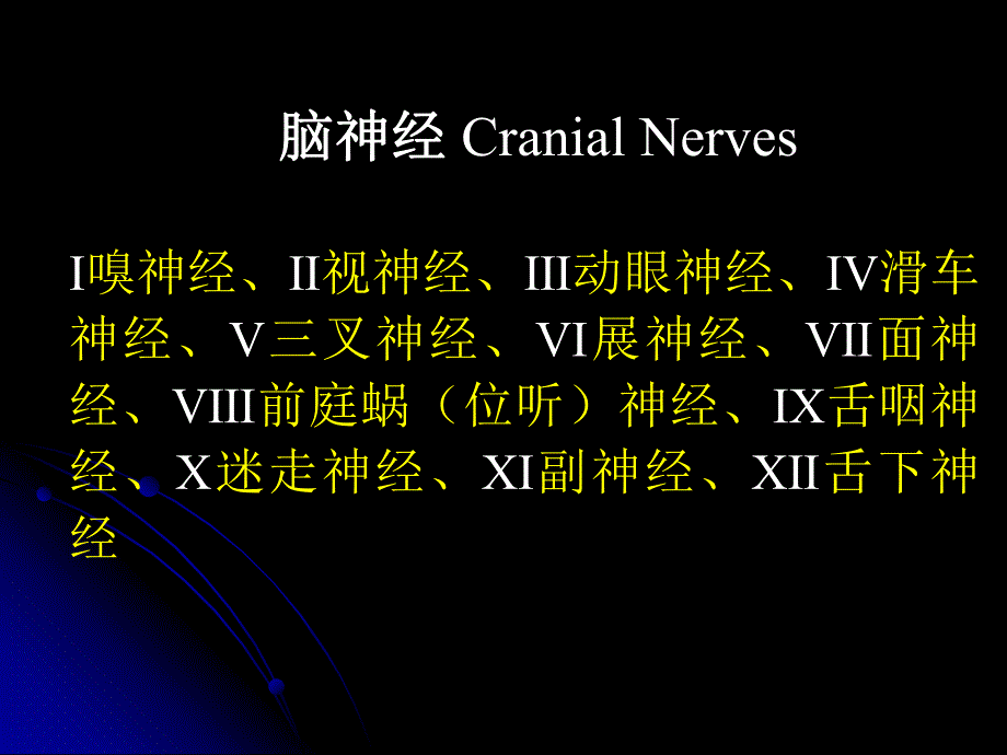 脑神经植物神经.ppt_第1页