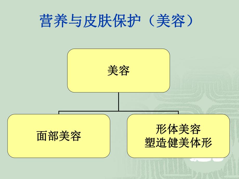 营养与皮肤的关系.ppt_第1页