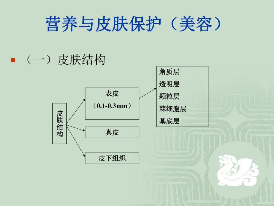 营养与皮肤的关系.ppt_第2页