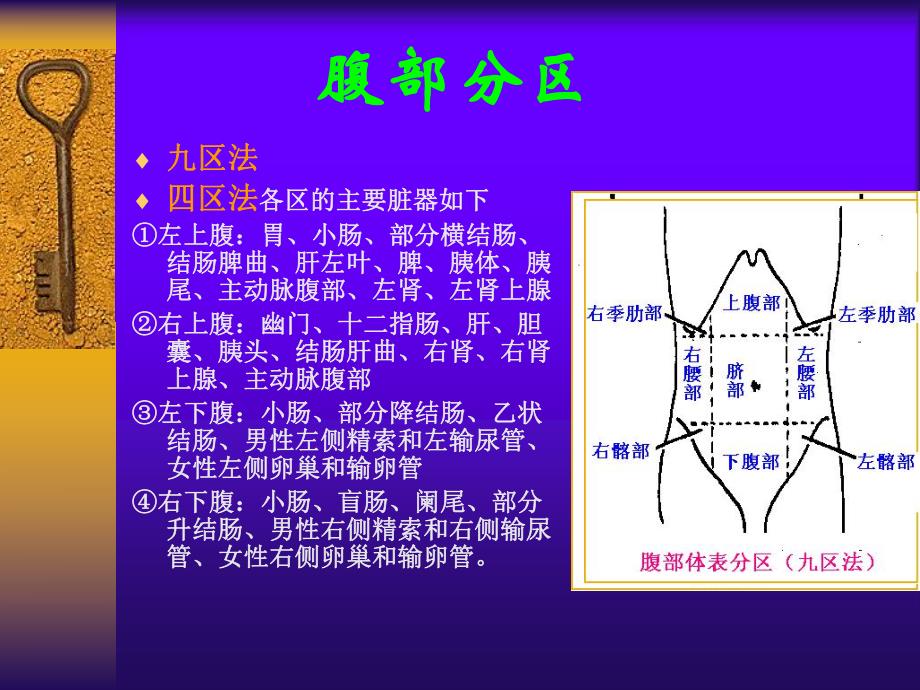 诊断学之腹部检查篇.ppt_第3页