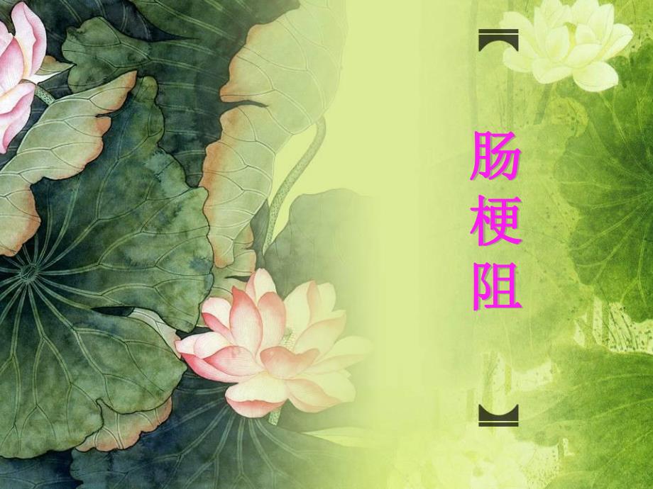 荷塘绿植物.ppt_第1页