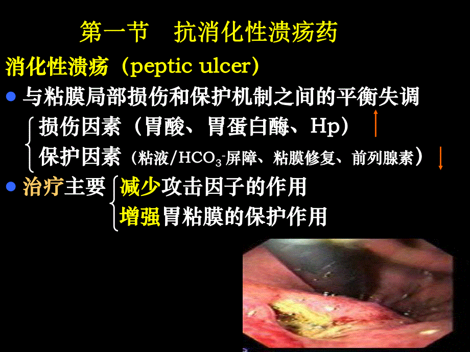 药理学第2版32作用于消化系统药物.ppt_第2页