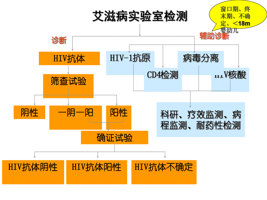 艾滋病检测结果解释.ppt_第2页